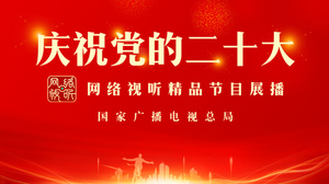 庆祝党的二十大
