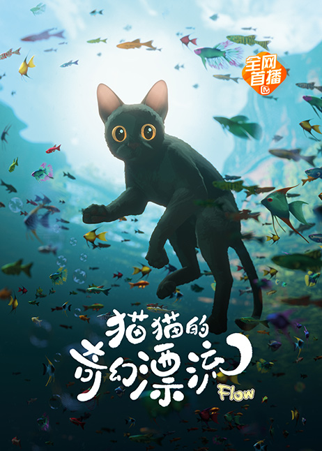 猫猫的奇幻漂流