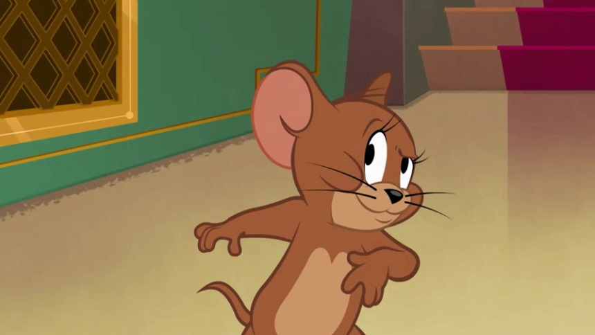 杰瑞带来了的大麻烦 无毛猫变“有毛”猫