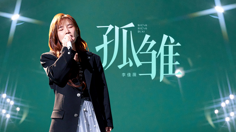 声生不息·华流季