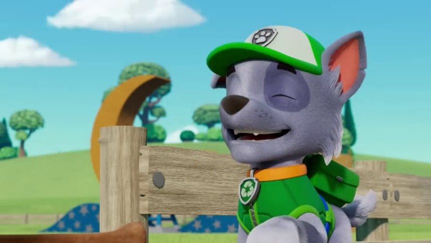 绿色代表走！环保狗狗灰灰，回收修理超在行