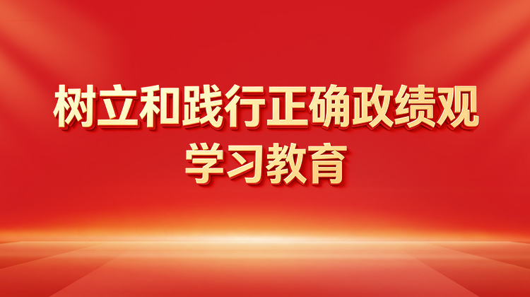 树立和践行正确政绩观学习教育