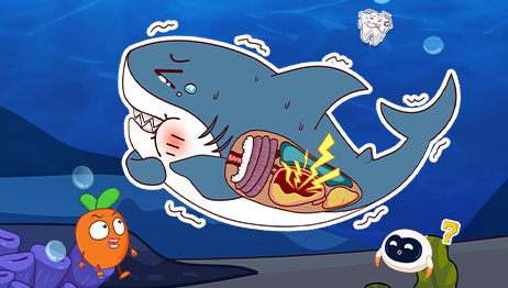 海洋动物大救援