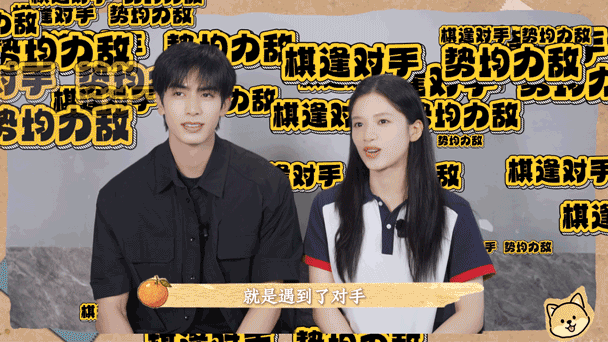 野狗骨头🍊独家CP专访